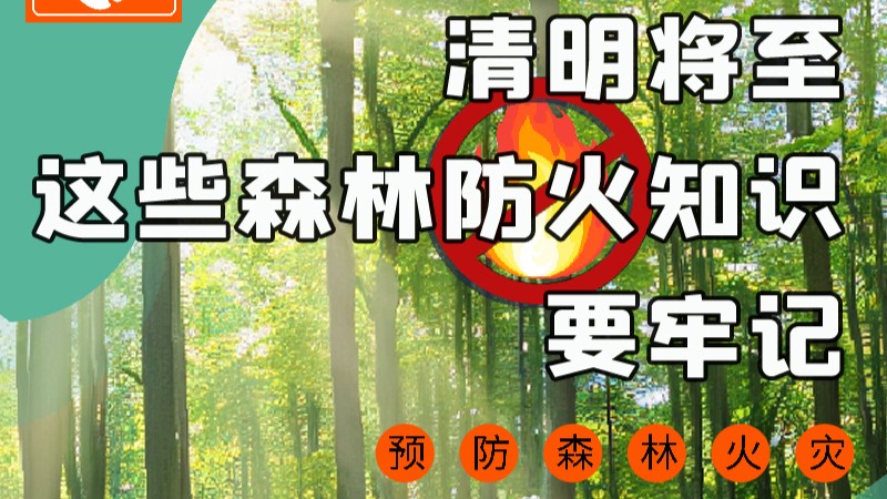 【甘快看】圖解|緊繃“安全弦”！清明，這些森林防火知識(shí)要牢記