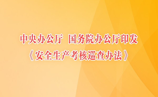 中共中央辦公廳 國務院辦公廳印發《安全生產考核巡查辦法》