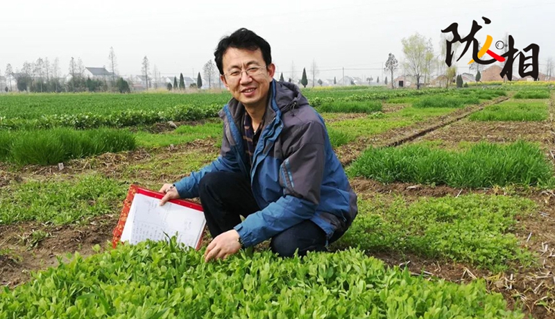 【隴人相203期】“土學者”劉滿強：俯身西部黃土地 匠心澆灌科研花