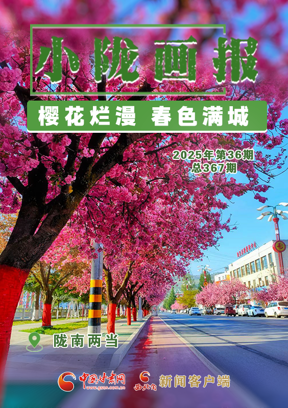 【小隴畫報·367期】兩當(dāng)： 櫻花爛漫 春色滿城
